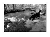 CRW_0023_IR_framed