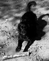 CRW_3078_bw