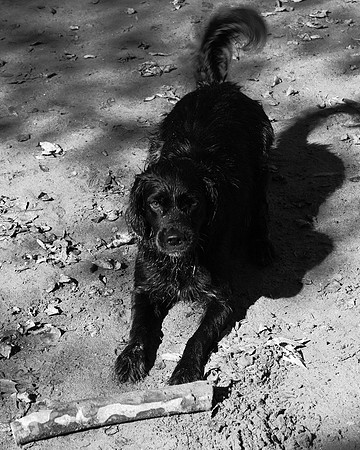 CRW_3078_bw