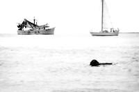 804-0418_BW2