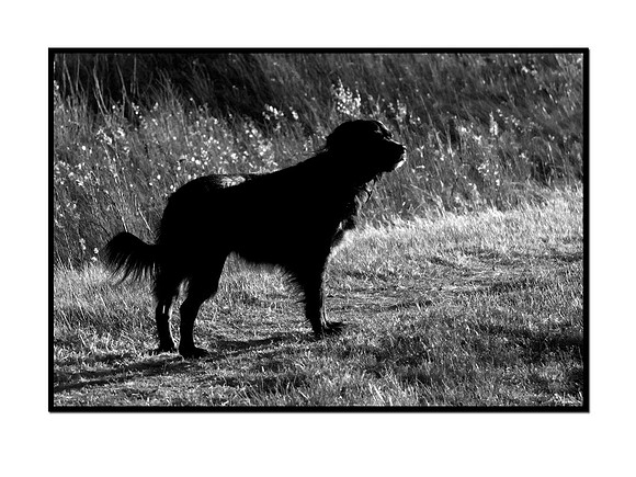 CRW_3408_IR_frame