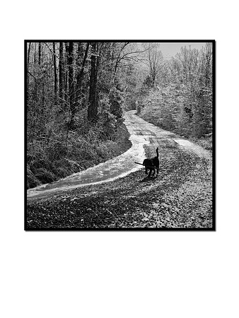 CRW_5819_bw_art_framed