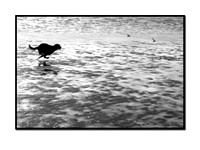 CRW_5224_16bit_b&w_frame