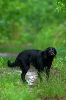 CRW_0432
