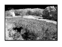 745-4531_bw_frame