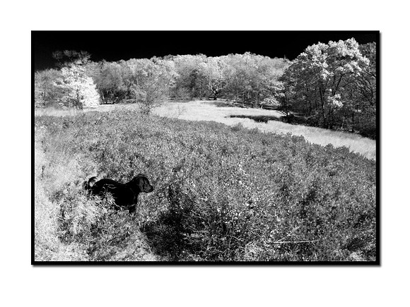 745-4531_bw_frame