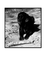 CRW_3079__bw_art
