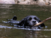 IMG_7560 copy