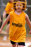 Buttercups '09