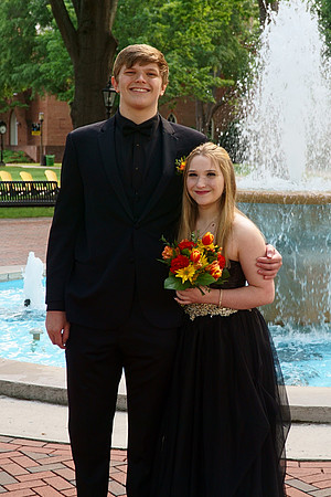 DSC06478_crop